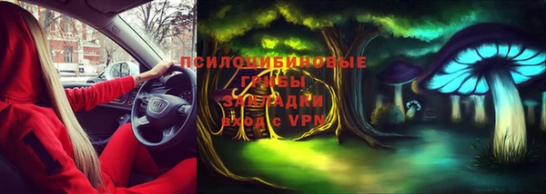ГАЛЛЮЦИНОГЕННЫЕ ГРИБЫ Бронницы